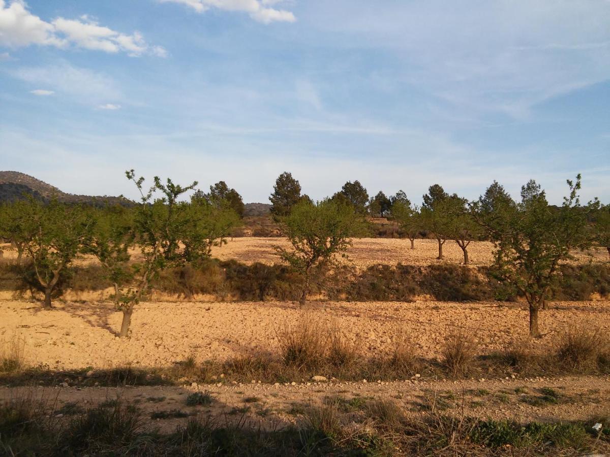 Casa Rural El Carmen De La Sierra Єкла Екстер'єр фото